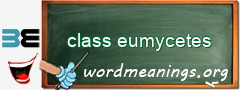 WordMeaning blackboard for class eumycetes